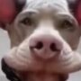 Profile picture of Striker1